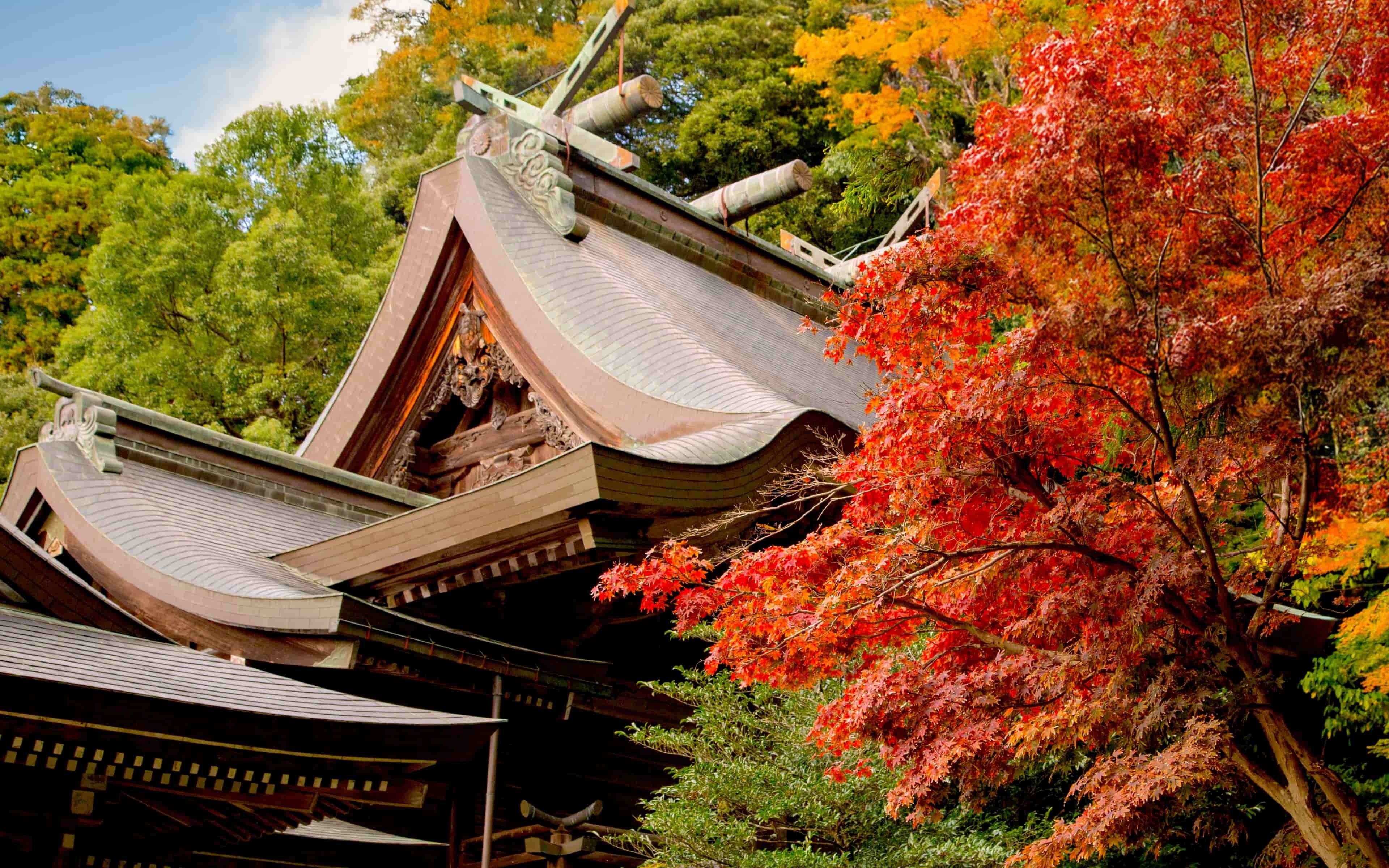 紅葉
